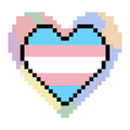 Trans Woman Trans Woman